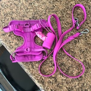 Size Small wild one harness, leash, and poop bag carrier.